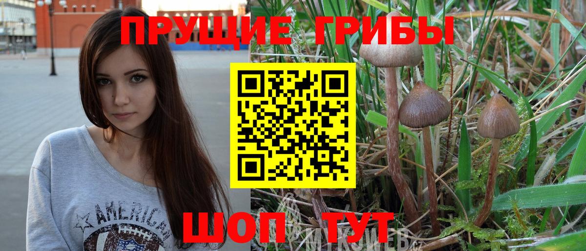 Спасск-Дальний  Галлюциногенные грибы мухоморы  Вход с VPN  Псилоцибиновые грибы GOLDEN TEACHER 